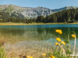 Paysage (© Commune de Megève)