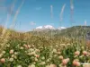 Landscape (© Municipality of Megève)