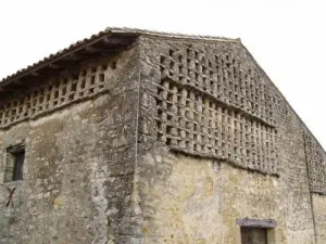 Saint-Léger-de-la-Martinière - Pared de palomar