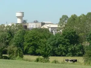 Saint-Léger-de-la-Martinière - Industrial site