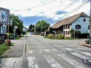 Vecchia strada del mulino, guardando ad est (© J.E)