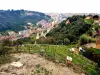 Val du Carei, visto dos jardins do Mosteiro de Annonciade (© J.E)