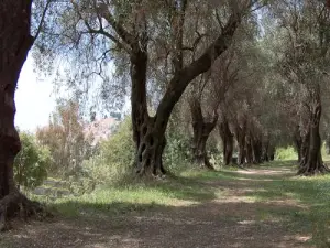 Parque Pian en Menton