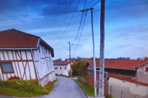 Half-timbered and flowered house