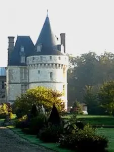 Castelo de Mesnières