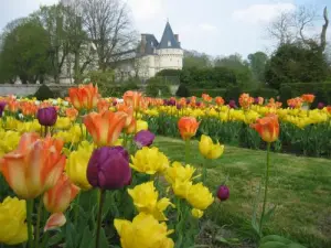 Fleurissement printanier au château