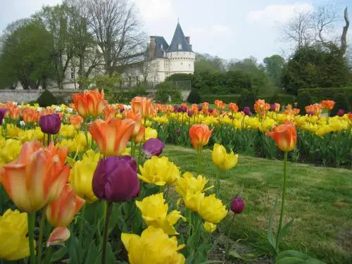 Château de Mesnières - Monument à Mesnières-en-Bray