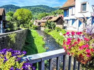 La Fecht, en amont du pont de Metzeral (© J.E)