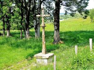 Croix pommée à la sortie Nord du village (© Jean Espirat)