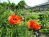 Conservatoire National des Plantes