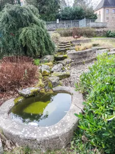 Fuente con cascada, frente al ayuntamiento (© JE)