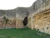 Ruines du château de la Reine Blanche