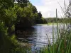 池のMoliets - 自然遺産のMoliets-et-Maa