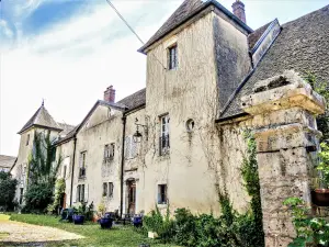 Fachada del castillo de Marshal Moncey (© J.E)