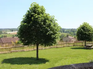 Medieval garden