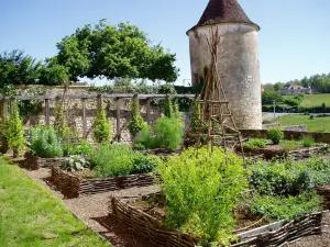 Medieval garden