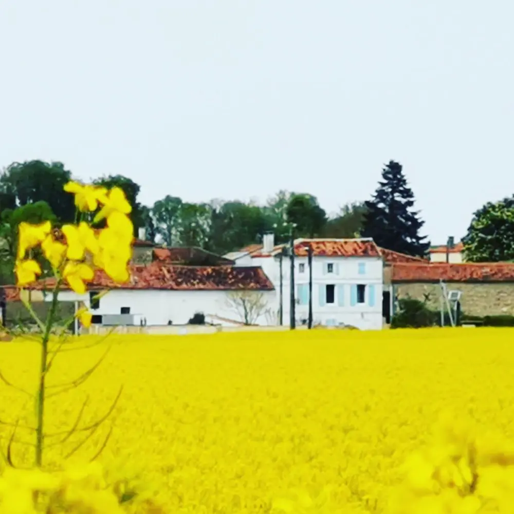 Bilder Mons Tourismus, Urlaub & Wochenende