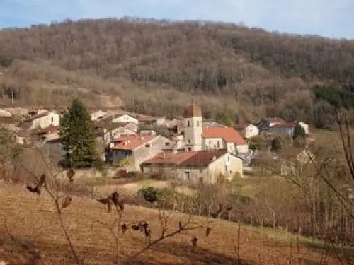 Montagna-le-Reconduit - Tourism, holidays & weekends guide in the Jura