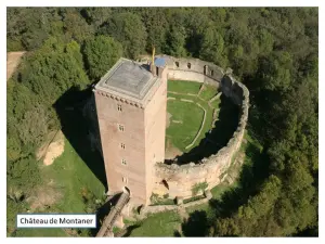 Montaner Castle
