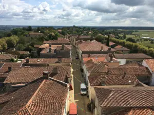 Rue Henri II en el pueblo de Montaut, vista desde la torre de la iglesia Sainte-Catherine