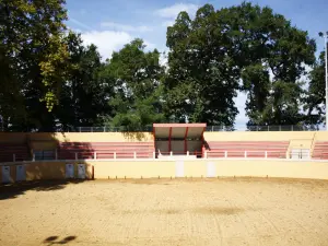 Montaut Arena