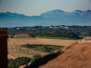 Vista de los Pirineos desde el pueblo de Montaut