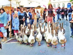 Medieval Festival 2015 - Die gelernten Gänse (© Jean Espirat)