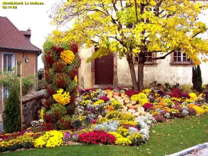 Montbéliard，城市分为4个花（©J.E）