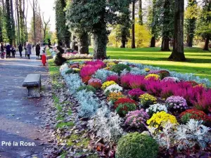 Central Park Gasse im Sommer (© Jean Espirat)