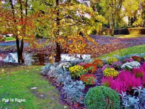 Bloom herbstlicher Park (© Jean Espirat)