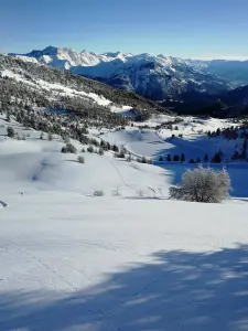 Das Skigebiet