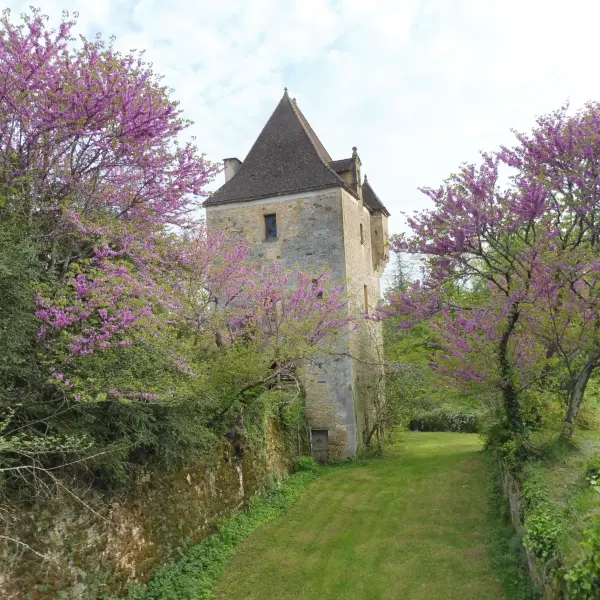 Montcléra - Guida turismo, vacanze e weekend nel Lot