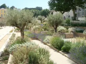 El jardín de los olores - Saint Martin