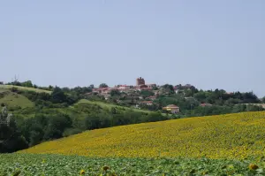 Monstesquieu-Lauragais