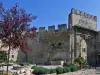 Monteux - Avignon Gate