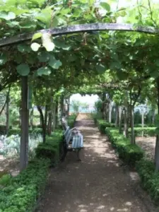 Payot giardino