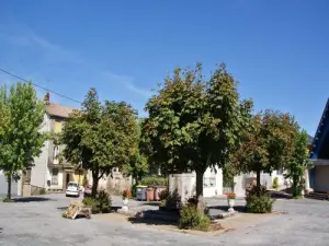 Village Square