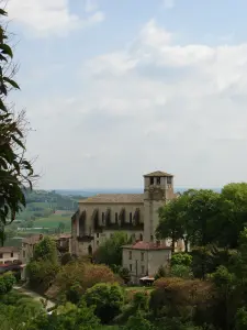 Collegiata