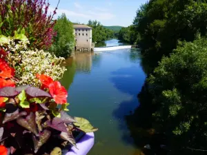 Barrage du moulin de Montricoux