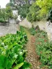 Beco florido de Montsoreau