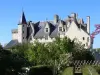 Montsoreau城堡，卢瓦尔河的城堡