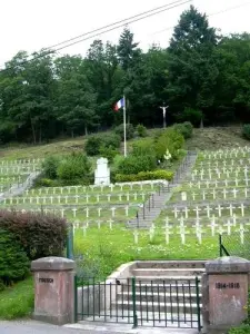 Il cimitero militare Moosch