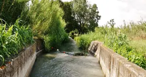 Canal de Crillon