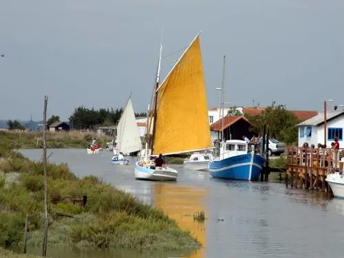 Mornac-sur-Seudre - 観光、ヴァカンス、週末のガイドのシャラント・マリティーム県