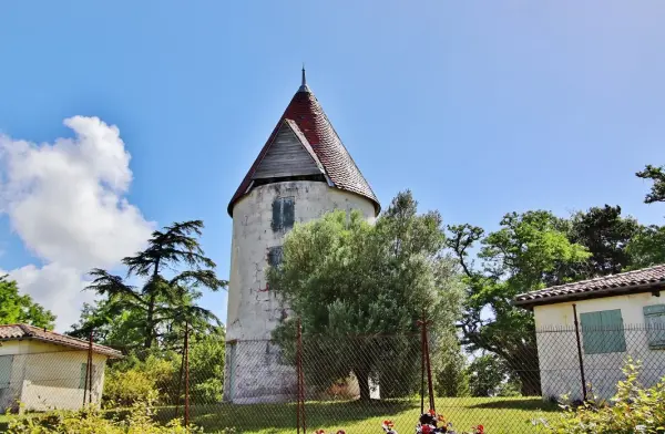 Mortagne-sur-Gironde - 観光、ヴァカンス、週末のガイドのシャラント・マリティーム県