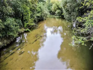 Die Allaine stromauf Morvillars Brücke (© J. E)