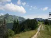 Morzine - Le Mont-Blanc et l'Aiguille du Midi du Pleney