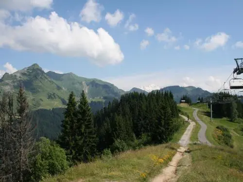 Morzine - Le Mont-Blanc et l'Aiguille du Midi du Pleney