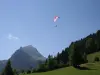 Parapente au-dessus du centre ville