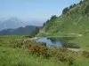 Morzine - Le col de Joux Plane